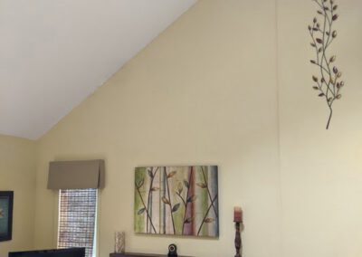 Living room painting project